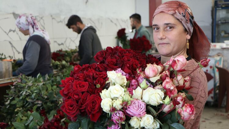 Eşi ile sevgililere rengarenk güller yetiştirdi