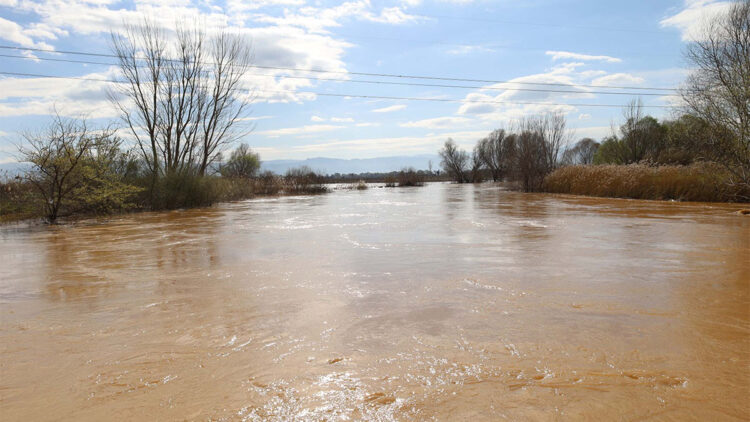 Gediz Havzası'nda meydana gelen taşkınlar tarım arazilerini vurdu