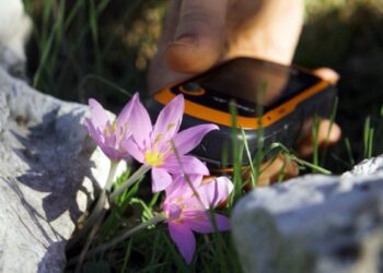 GPS verileri incelendi; orkidelerde kaçak söküm alarmı