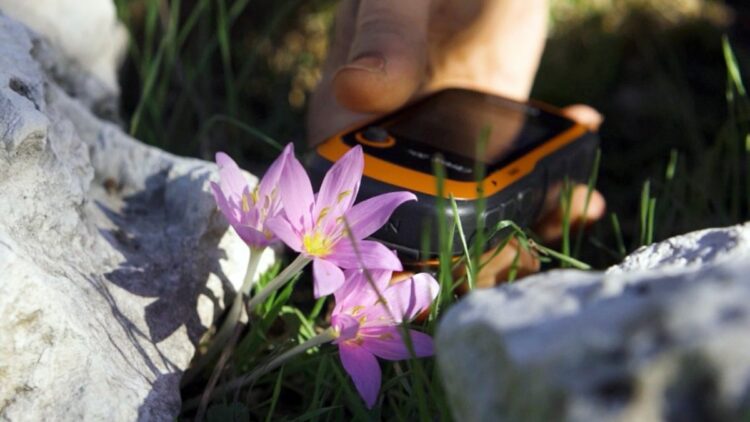 GPS verileri incelendi; orkidelerde kaçak söküm alarmı