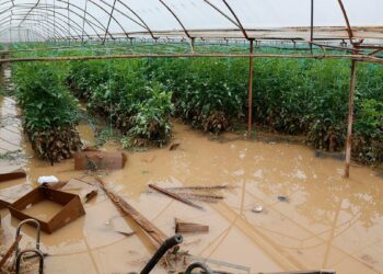 Geçen haftaki yağış ve hortumun Antalya'ya faturası 300 milyon TL