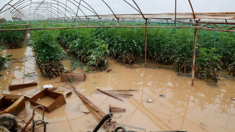 Geçen haftaki yağış ve hortumun Antalya'ya faturası 300 milyon TL