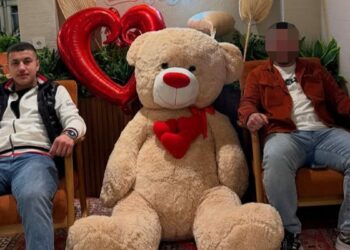 Hafif ticari araca silahlı saldırı; 19 yaşındaki Yiğit öldü, ağabeyi yaralı