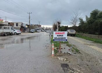Hatay'da 4 mahalle ‘kuduz risk bölgesi’ ilan edildi