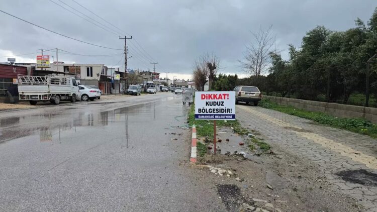 Hatay'da 4 mahalle ‘kuduz risk bölgesi’ ilan edildi