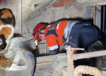 Avcılar’da su deposuna düşen sahipsiz kedi kurtarıldı