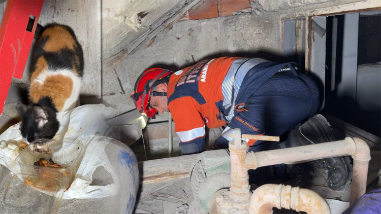 Avcılar’da su deposuna düşen sahipsiz kedi kurtarıldı