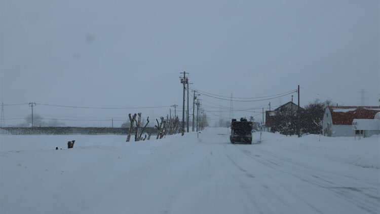 Japonya'da yoğun kar yağışı nedeniyle 30 kişi hayatını kaybetti