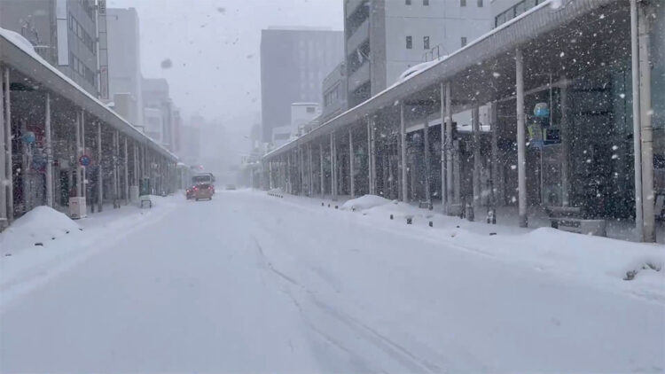 Japonya'da şiddetli kar yağışı; 45 kişi hayatını kaybetti