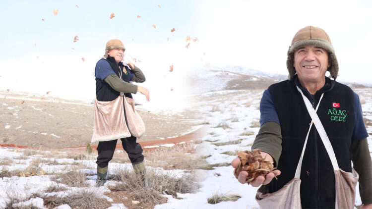 Kayseri’nin ‘Ağaç Dede’si 1 milyondan fazla fidanı toprakla buluşturdu