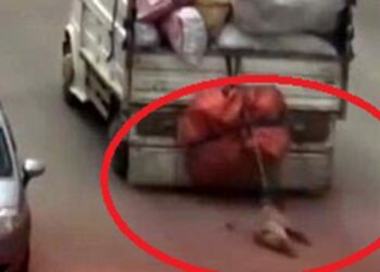 Kamyonete bağlanarak sürüklenen köpek kurtarıldı