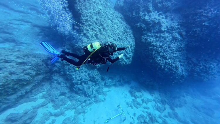 Karadeniz'de 'sessiz katil hayalet ağlara' robotik müdahale