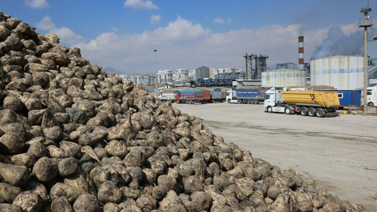 Konya Şeker’den üreticiye 12 milyar 780 milyon 545 bin TL’lik ödeme