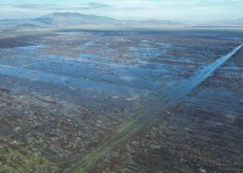 Kuruyan Marmara Gölü'nün su tuttuğu alanlar dronla görüntülendi