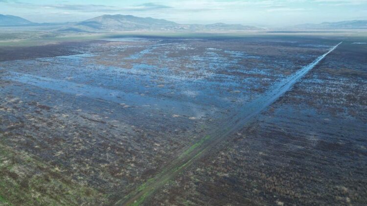 Kuruyan Marmara Gölü'nün su tuttuğu alanlar dronla görüntülendi