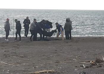 Muğla'da parçalanmış erkek cesedi bulundu