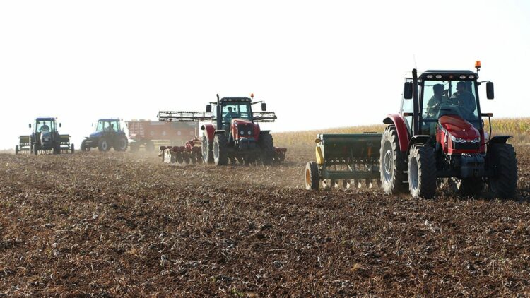 Mardin'de kar ve yağmur, çiftçiyi sevindirdi; bereket yılı bekleniyor