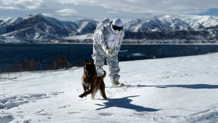 Mehmetçikten derin karda köpekli arama eğitimi