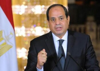 Mısır Cumhurbaşkanı Sisi'den Somali'ye asker konuşlandırma mesajı
