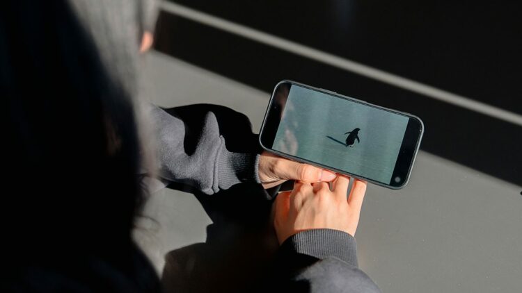 'Nihilist penguen'e kendi yalnızlığımızı yükledik'