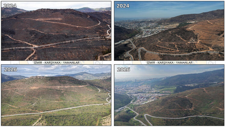 Orman yangını ile zarar gören Yamanlar Dağı, yeniden yeşile bürünüyor