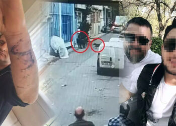 Pitbul ile saldırı davasında 3 sanığa indirimli hapis cezası