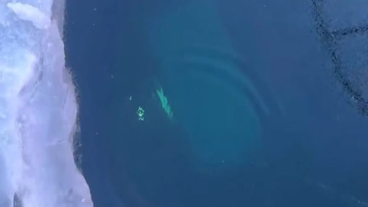 Rusya'da Baykal Gölü'nde tur aracı buzun altına düştü: 8 ölü