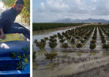 Sular altında kalan bahçesine kayıkla ulaştı