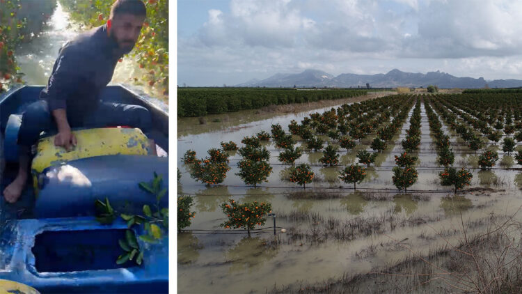 Sular altında kalan bahçesine kayıkla ulaştı
