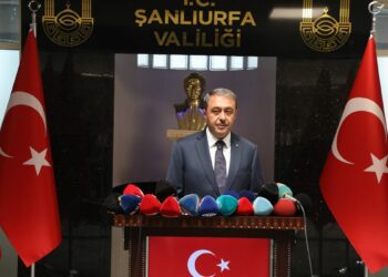 Şanlıurfa'da 27 bin sokak köpeği bakımevlerine götürüldü