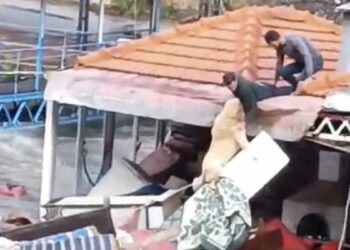Sele kapılan köpeği kurtarma çabası takdir topladı