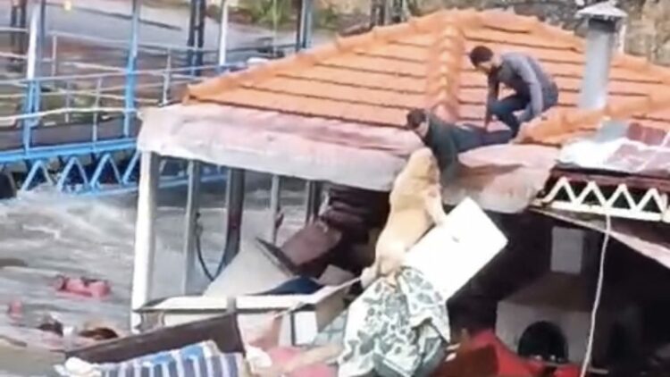 Sele kapılan köpeği kurtarma çabası takdir topladı