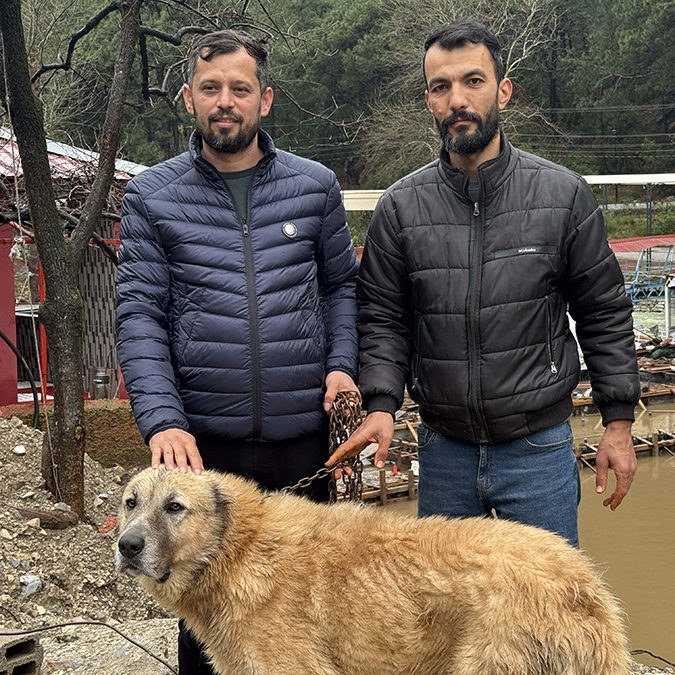 Sele kapılan köpeği kurtarma çabası takdir topladı