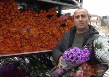 Sevgililer Günü için Hollanda'dan da çiçek getirttiler