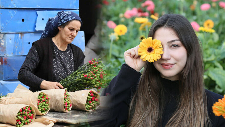 Kesme çiçek ve süs bitkileri sektörü tüm zamanların rekorunu kırdı
