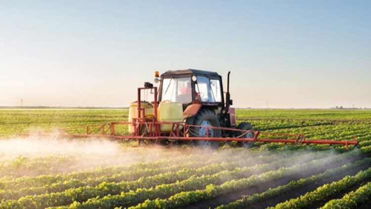 Tarım ürünleri üretici fiyatları ocakta arttı