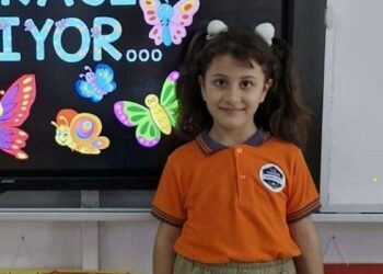 Üzerine koltuk düşen Ebrar'ın ölümü davasında sanıklar için hapis istemi