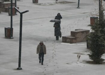 Van'da kar ve sis etkili oldu; 141 yerleşim yerine ulaşım sağlanamıyor