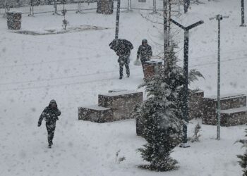 Van'da kardan 40 yerleşim yeri ulaşıma kapandı