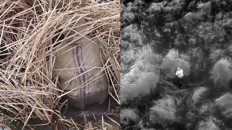 Samsun’da yasa dışı avcılık yaptığı belirlenen 13 kişiye idari işlem