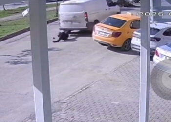 Cep telefonu ile ilgilenen yayaya kamyonet çarptı