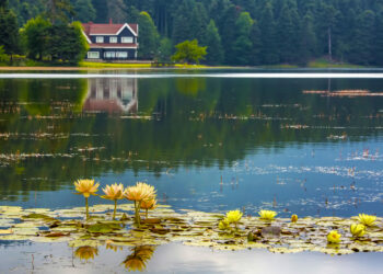 'Milli Parklar Kanunu Teklifi'nin 3 maddesi daha kabul edildi
