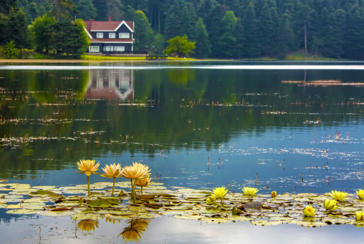 'Milli Parklar Kanunu Teklifi'nin 3 maddesi daha kabul edildi