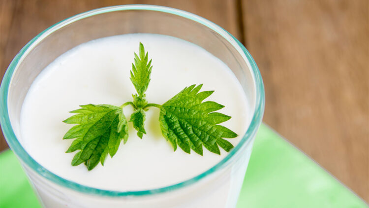 Süt ürünleri, susuzluğu gidermede etkili bir seçenek