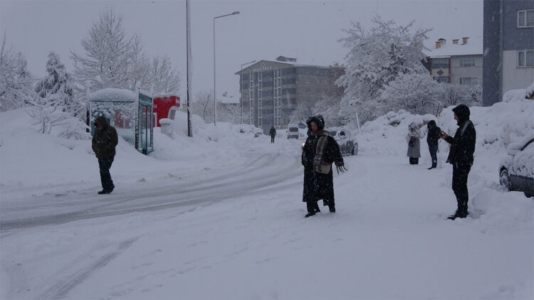 Bitlis ve Van kırsalında 205 yerleşim yerinin yolu kardan kapandı