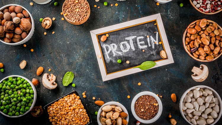 Bitkisel protein kaynakları bağırsak sağlığı ve metabolik dengeyi destekliyor