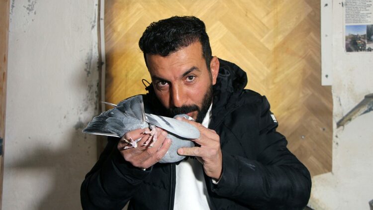 ‘Evladım’ dediği güvercinini bulup getirene 75 bin TL ödül verecek