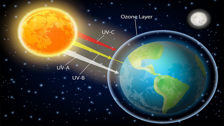 Ozon tabakasının delinmesi veya incelmesi dünyadaki yaşamı nasıl etkiler?