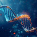 DNA ve RNA molekülleri arasındaki yapısal farklılıklar nelerdir?