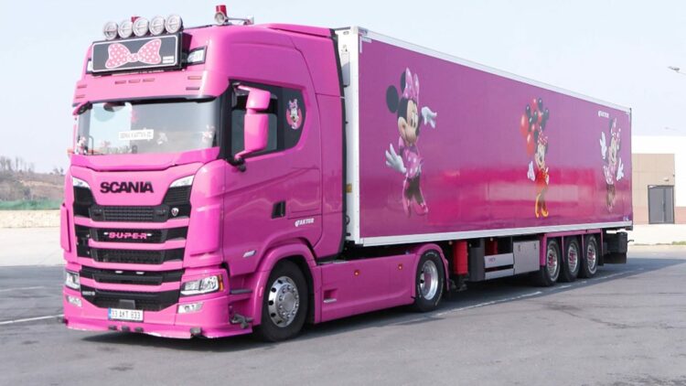 4 çocuk annesi, pembe renkli TIR'ı ile uluslararası taşımacılık yapıyor